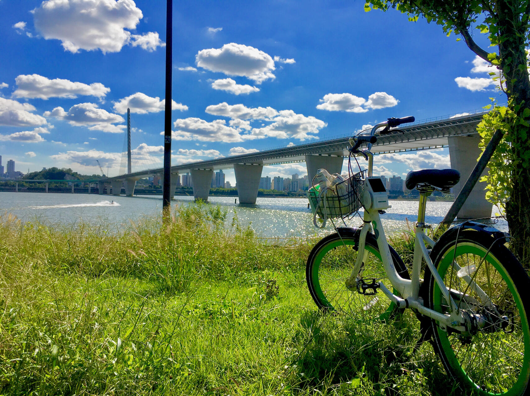 액티브 라이딩 데이트